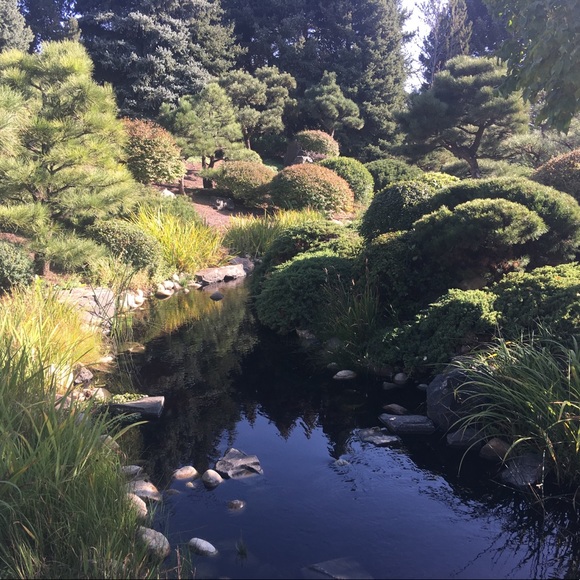 Meet Posher Erica - Picture 4 of 7